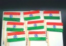 5 Bastelideen für Kinder, um die indische Flagge zu basteln 