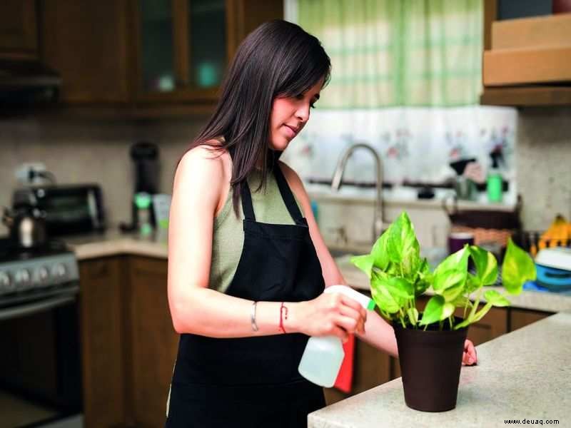 Küchenhacks, um deine Pflanzen während des Lockdowns frei von Schädlingen zu halten 