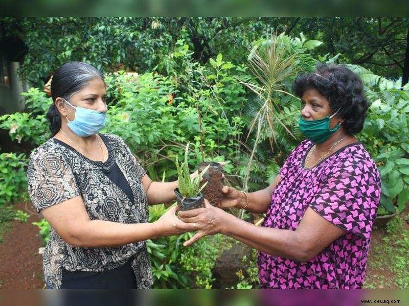 Goaner werden COVID-bewusst, nehmen Pflanzen auf, die die Immunität stärken 