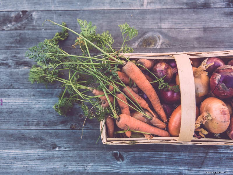 8 Gemüsesorten, die Sie ganz einfach in Ihrem Gemüsegarten anbauen können 