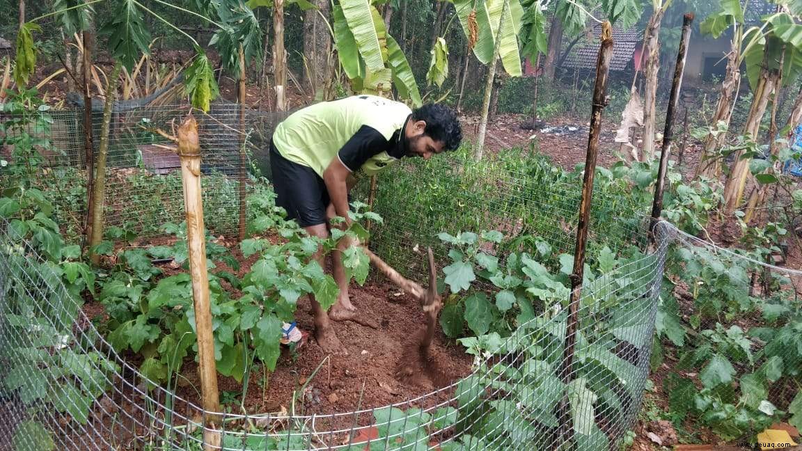 Goaner versuchen sich im Lockdown an der Hinterhof-Landwirtschaft 