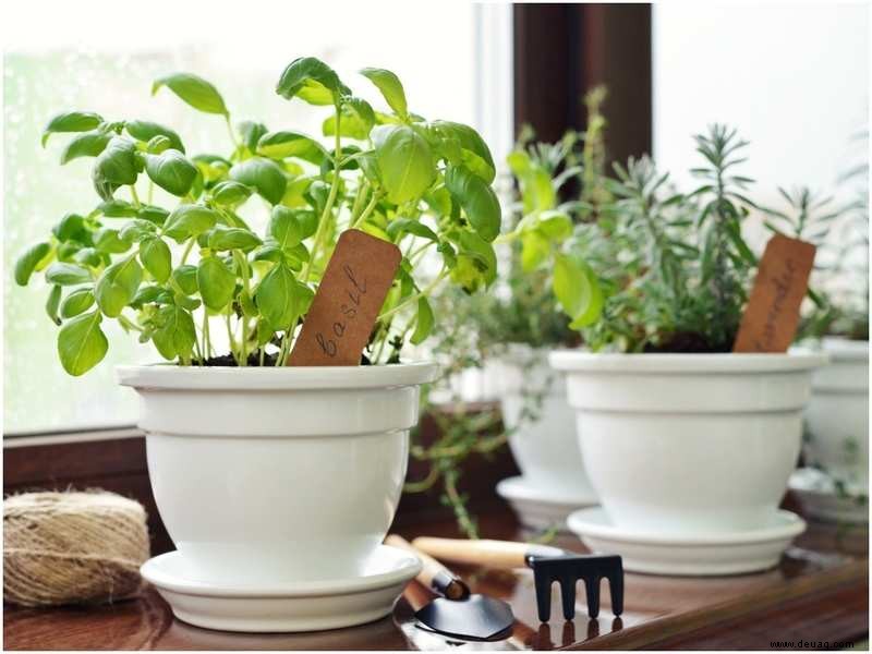 5 Indoor-Kräuterpflanzgefäße, die Ihrer Küche neues Leben einhauchen 