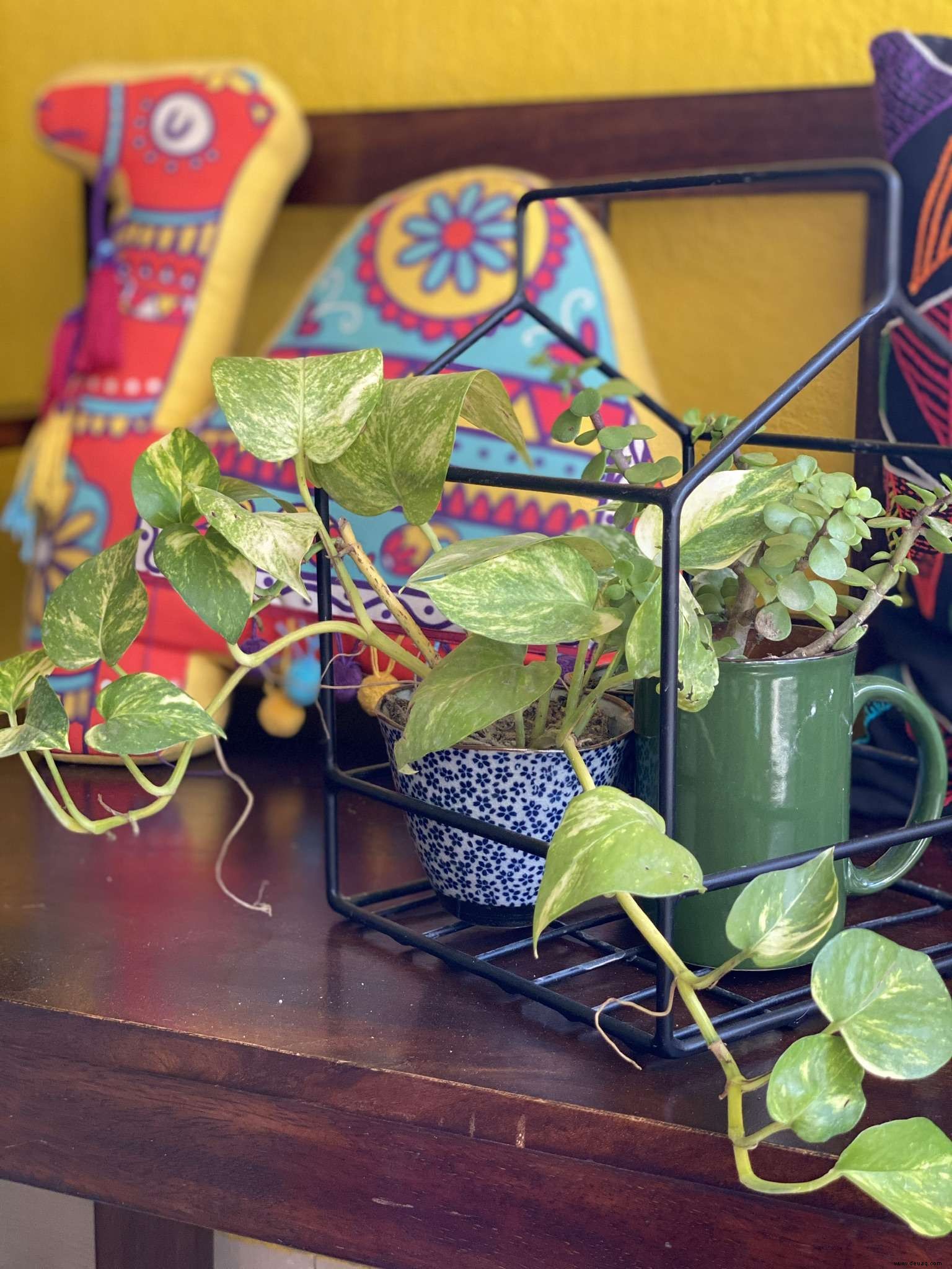Geldpflanzen, Friedenslilien &Zz-Pflanzen:Verleihen Sie Ihrem Zuhause mit Zimmerpflanzen ein grünes Facelifting 