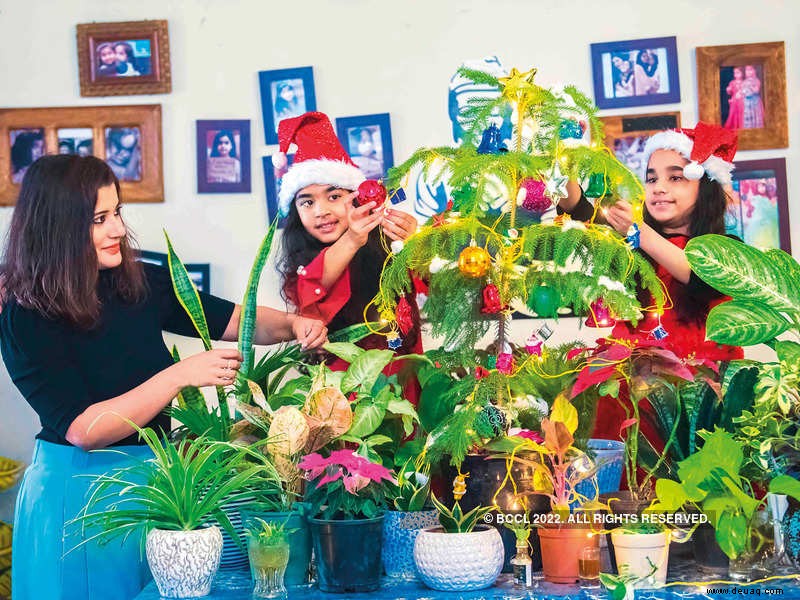 NCR-Bewohner kaufen Luftreinigungspflanzen zu Weihnachten 