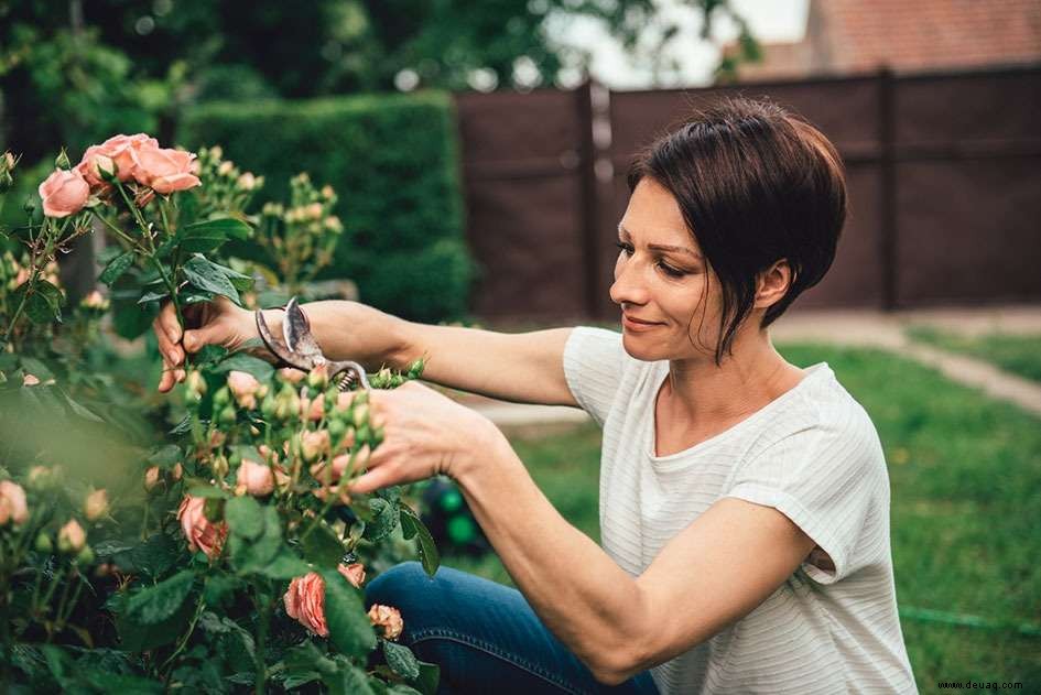 Diese festliche Jahreszeit, Geschenkpflanzen, die Gesundheit und Wohlstand anziehen 