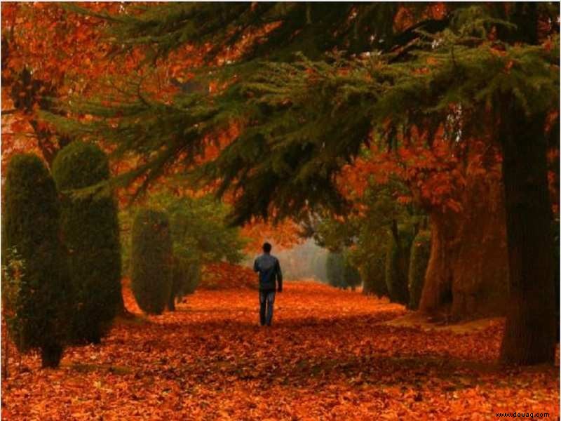 Gestalten Sie die Herbstsaison in Ihrem Salon mit einfachen Deko-Ideen nach 