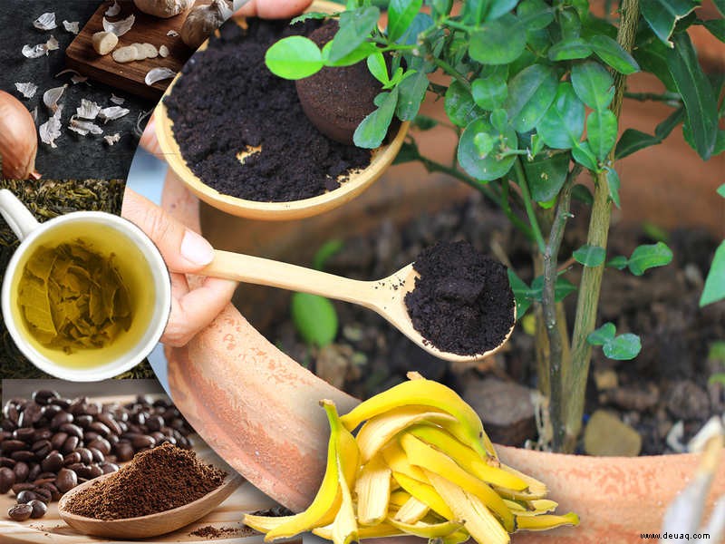 5 Küchenabfälle, die Ihre Pflanzen sofort düngen können 