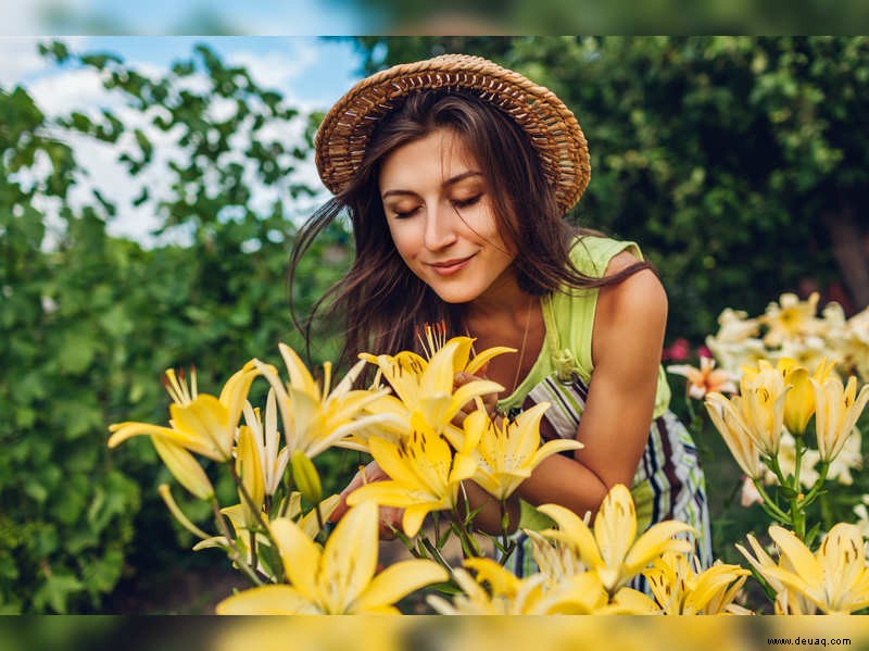 Verschönern Sie Ihren Hausgarten mit diesen wunderschönen Monsunblumen 