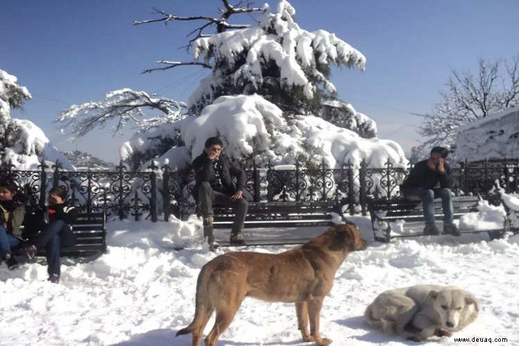 10 der verträumtesten Bergstationen in Himachal Pradesh 