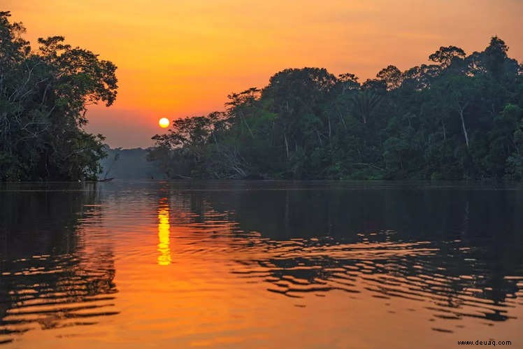 Erstaunliche Fakten über den Amazonas, von denen wir wetten, dass Sie sie noch nicht kannten! 