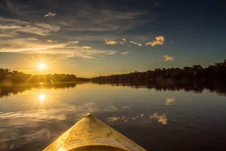 Erstaunliche Fakten über den Amazonas, von denen wir wetten, dass Sie sie noch nicht kannten! 