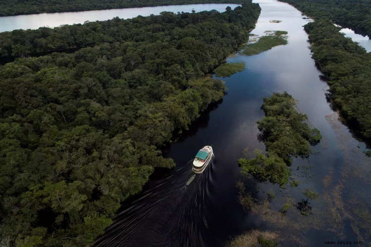 Erstaunliche Fakten über den Amazonas, von denen wir wetten, dass Sie sie noch nicht kannten! 