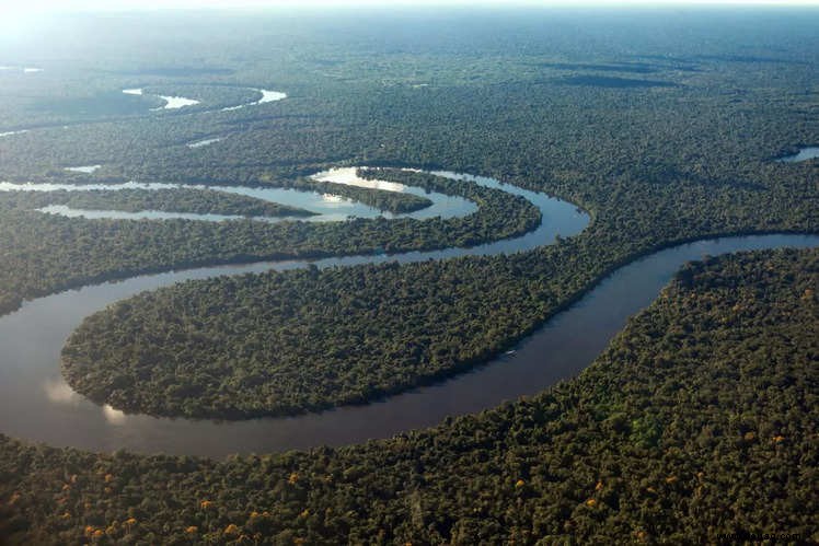 Erstaunliche Fakten über den Amazonas, von denen wir wetten, dass Sie sie noch nicht kannten! 