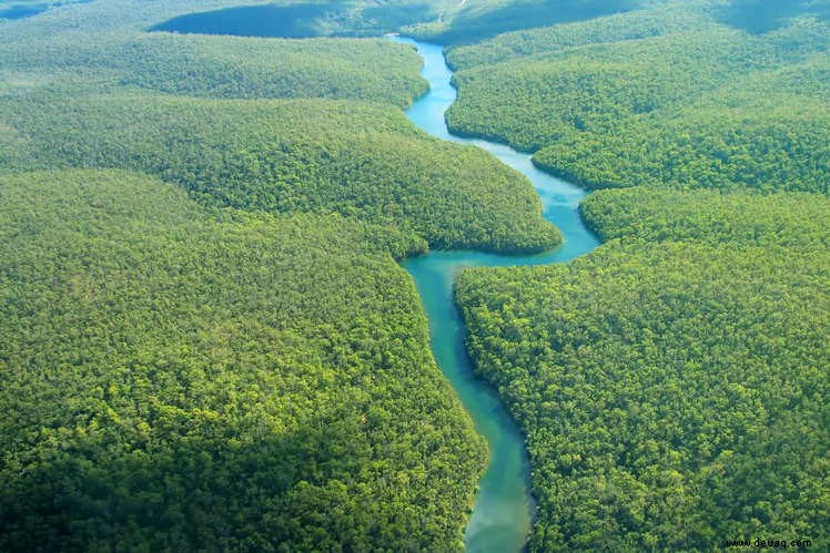 Erstaunliche Fakten über den Amazonas, von denen wir wetten, dass Sie sie noch nicht kannten! 