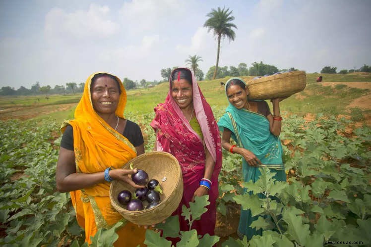 Agrotourismus in Indien:Schöne Farmstays, um zu Ihren Wurzeln zurückzukehren 