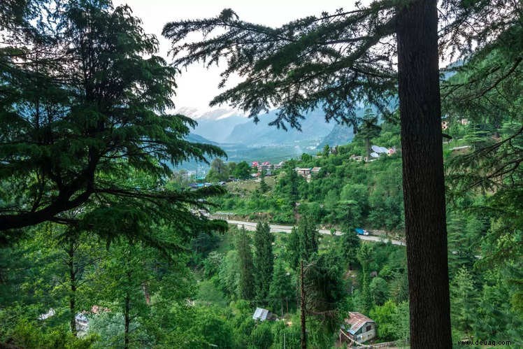 Hostels in Himachal Pradesh für diese preisgünstige Reise 