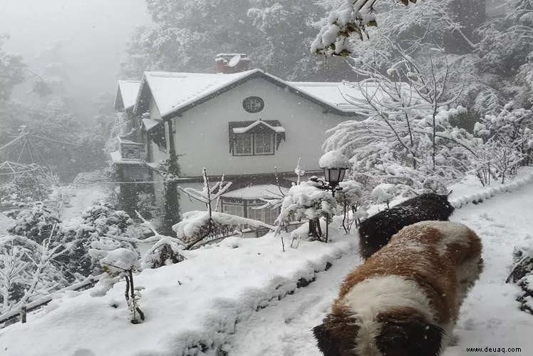 Gemütliche Hotels in Himachal Pradesh für diesen Winter 