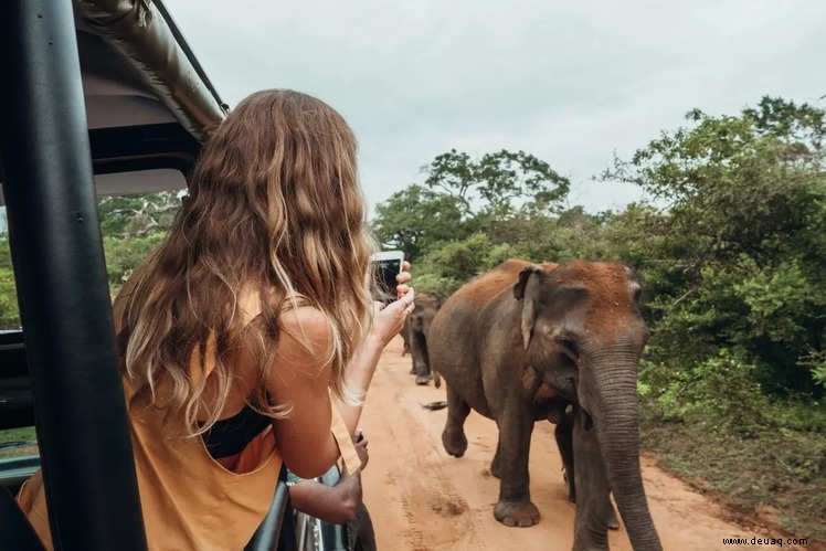 Für einen perfekten Urlaub in der Wildnis Indiens 