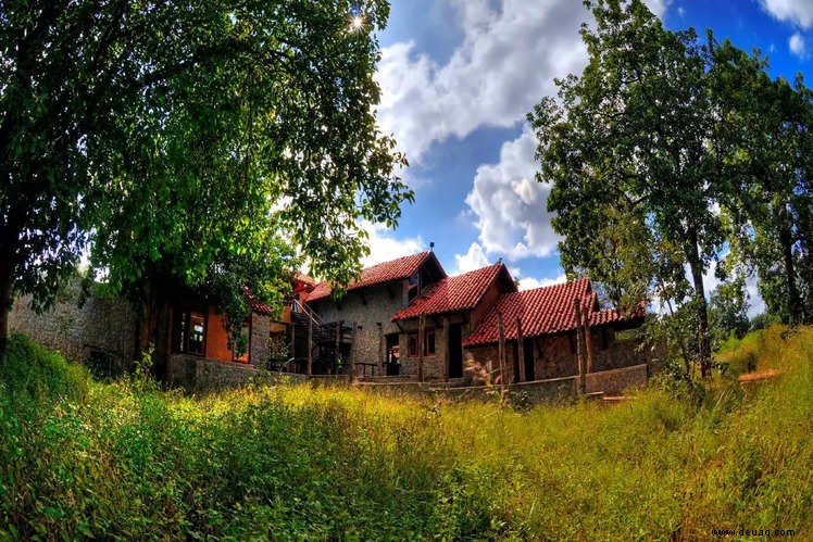 Für einen perfekten Urlaub in der Wildnis Indiens 