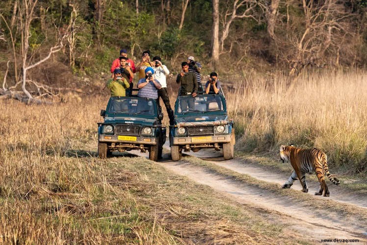 Für einen perfekten Urlaub in der Wildnis Indiens 