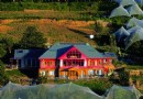 Die 10 besten Gastfamilien in Himachal Pradesh, die Sie diesen Winter nicht verpassen dürfen 
