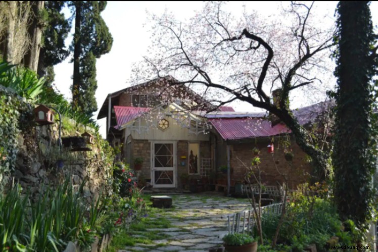 Die 10 besten Gastfamilien in Himachal Pradesh, die Sie diesen Winter nicht verpassen dürfen 