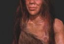 Alter Neandertaler-Denisova-Hybrid in sibirischer Höhle ausgegraben 
