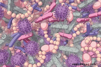 Das britische Mikrobiom:Wie uns unser Bauch mehr verrät als unsere Gene 