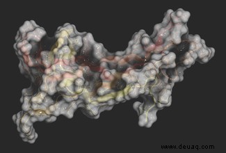 HIIT verändert die Art und Weise, wie wir trainieren, hier ist die Wissenschaft, warum es funktioniert 