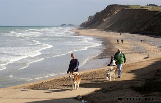 Das Leben an der Küste könnte die psychische Gesundheit verbessern 