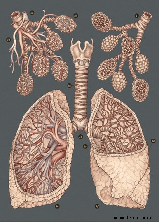 Reisen Sie mit diesen erstaunlichen Bildern aus dem neuen Buch Anatomicum unter die Haut 