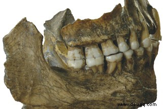 6 Gründe, warum Neandertaler nicht die brutale, primitive Spezies sind, die wir einst dachten 