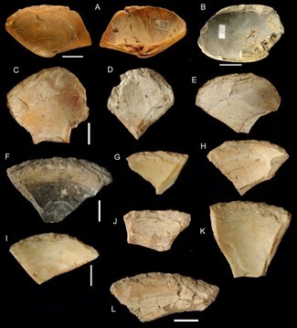 Neandertaler sammelten Muscheln am Strand, genau wie wir 