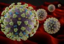 Coronavirus „am ansteckendsten“ in den ersten Wochen der Symptome 