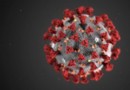 „Keine Beweise“ dafür, dass das Coronavirus zu gefährlicheren Stämmen mutiert 