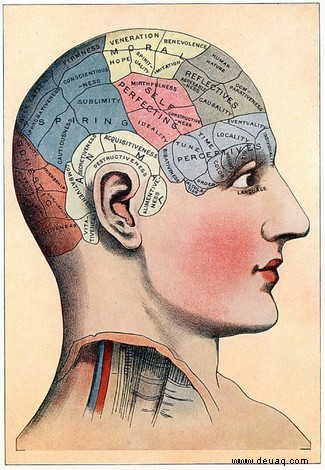 Phrenologie:von Beulen am Kopf bis zur Geburt der Neurowissenschaften 