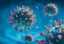 Coronavirus-Impfstoff:Studie zeigt, dass das Medikament das Immunsystem gegen COVID-19 trainiert 