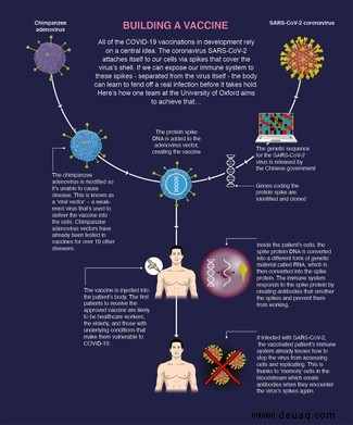 Coronavirus-Impfstoff:Das Rennen um ein Heilmittel für COVID-19 