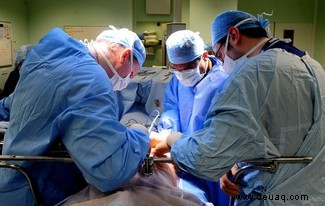 Neue Technik spart bis zu 70 Prozent der gespendeten Lebern für Transplantationen 