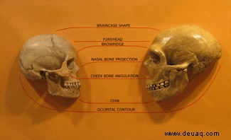 Hatten die Neandertaler eine Gesellschaft? 