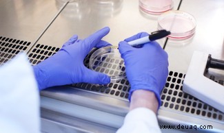 Mundwasser eliminiert das Coronavirus in 30 Sekunden ... im Labor 