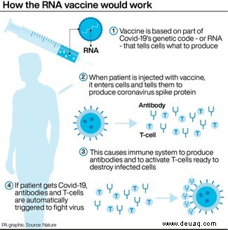 Alles, was Sie über den Pfizer-Coronavirus-Impfstoff wissen müssen 