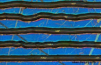 20 atemberaubende Mikroskopfotos vom Wettbewerb Nikon Small World 2020 