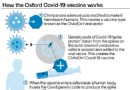 COVID-19:Alles, was Sie über den Oxford-Impfstoff wissen müssen 