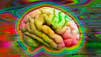 Dein Gehirn auf LSD:ein Leitfaden durch die überwältigendste Psychedelika-Forschung 