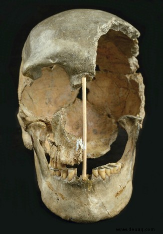 45.000 Jahre alter weiblicher Schädel bietet „ältestes modernes menschliches Genom“ 