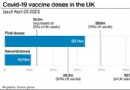 COVID-19:Fälle gehen dank Impfstoffen zurück, wie Daten aus der realen Welt zeigen 