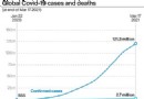 COVID-19:Junge Frauen haben ein höheres Krankenhausrisiko als Männer 