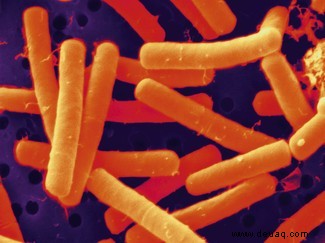 Legen Sie das Desinfektionsmittel ab:Sollten wir hilfreiche Bakterien in unsere Häuser einladen? 