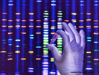 Die vollständige menschliche Genomsequenz enthüllt neue genetische Varianten, die mit Krankheiten in Verbindung gebracht werden 